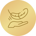 Viegla un praktiska3